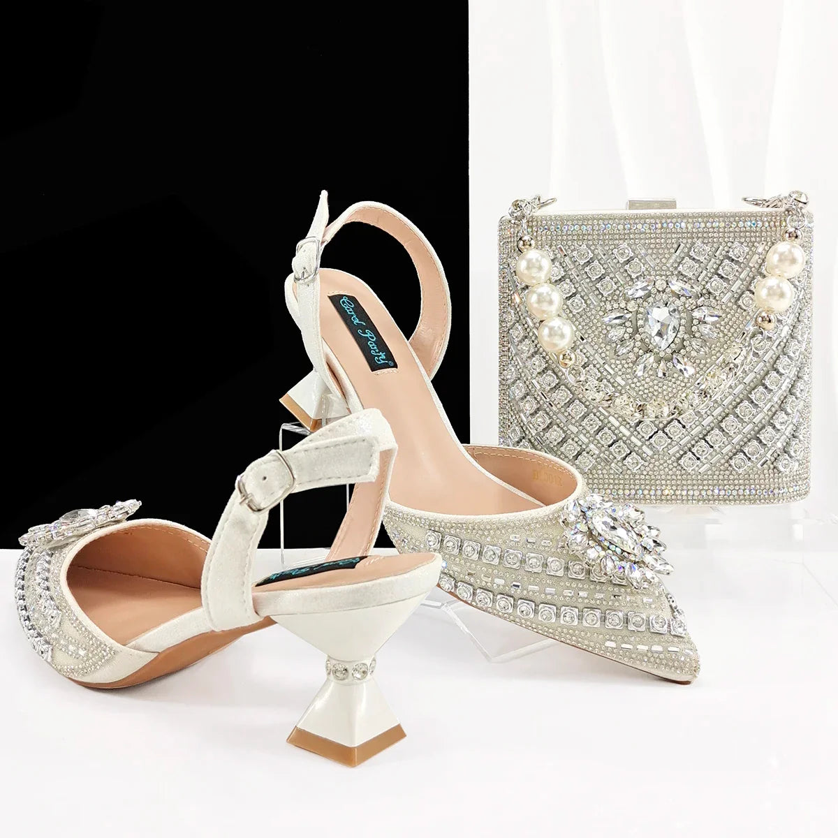 Hot Matching Shoe and Bag Set