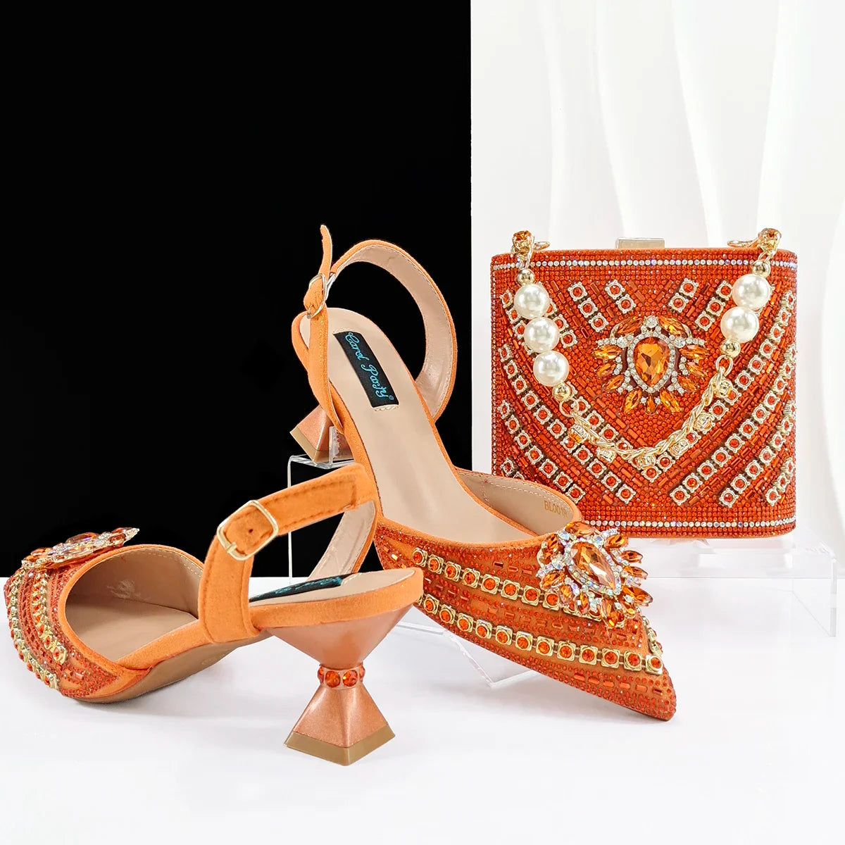 Hot Matching Shoe and Bag Set
